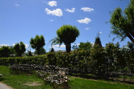 公园风景  