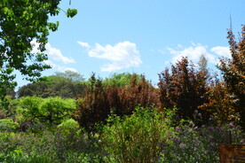 公园风景 