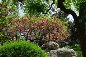 公园风景  