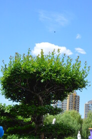 公园风景 