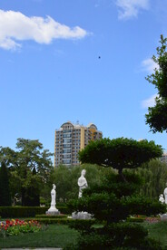 公园风景  