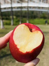 红苹果
