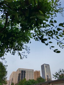 城市 天空