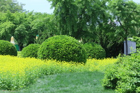 公园风景  