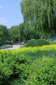 公园风景 