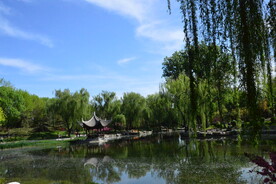 公园风景 