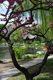 公园风景