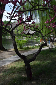 公园风景 