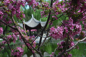 公园风景  
