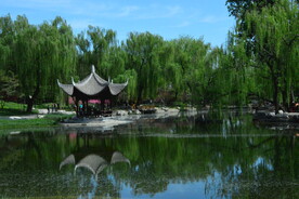 公园风景 