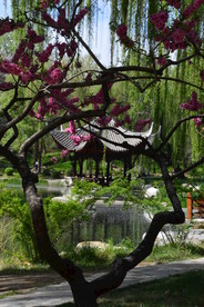 公园风景 
