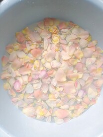 花瓣素材
