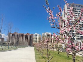 桃园