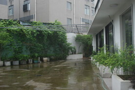 藤蔓小院