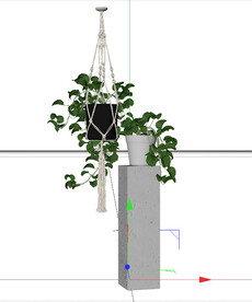 C4D模型 绿色植物