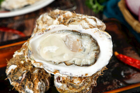 新鲜生蚝
