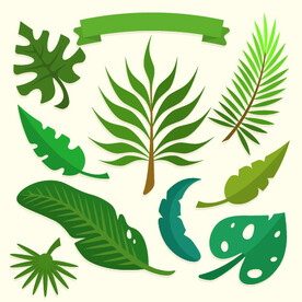 叶子素材