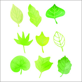 树叶素材