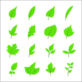 树叶素材