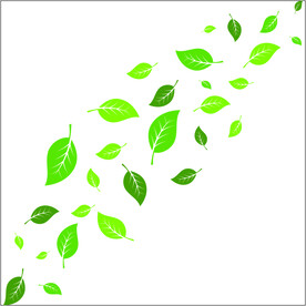 树叶素材