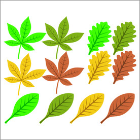 树叶素材