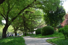 公园风景  