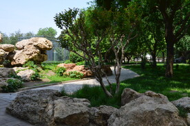 公园风景  