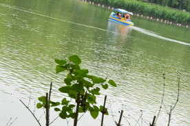 公园风景 