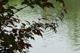 公园风景 