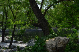 公园风景  