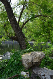 公园风景  