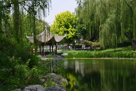 公园风景  