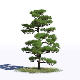 C4D模型 树