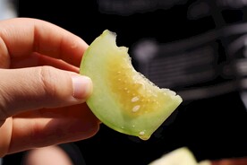 蜜瓜