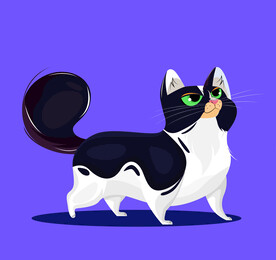 卡通猫