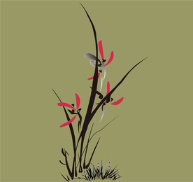 兰花