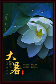 大暑海报