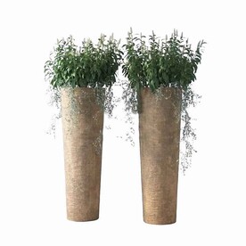 C4D模型 绿色植物