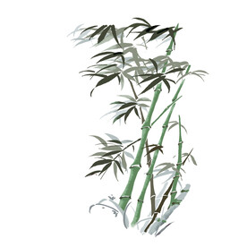 竹子素材