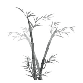 竹子素材