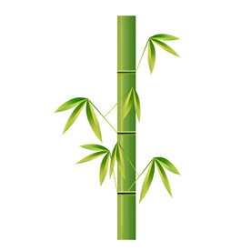竹子素材
