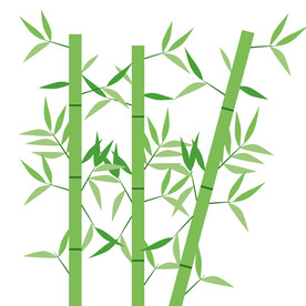 竹子素材