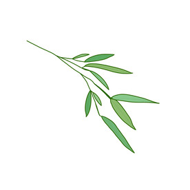 竹子素材