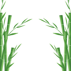 竹子素材