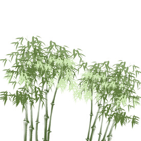 竹子素材