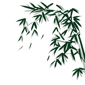 竹子素材