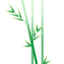 竹子竹笋素材
