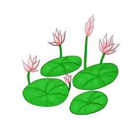荷花素材