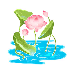 荷花素材