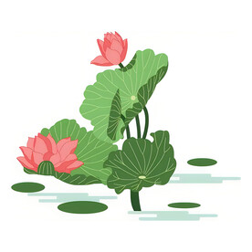 荷花素材